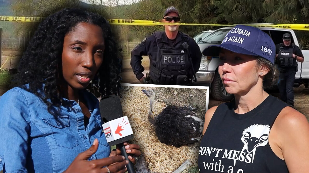BUSTED: Footage appears to catch CFIA officials faking care for dying ostrich 'Spirit'