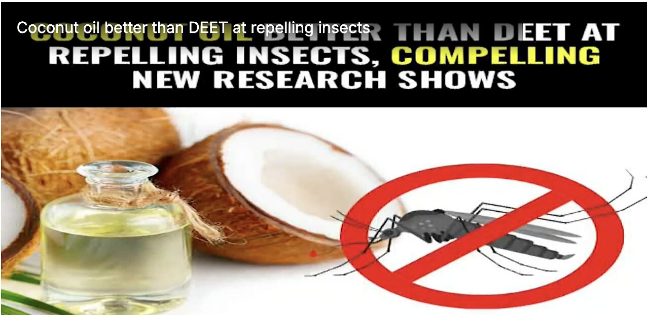 Coconut oil better than DEET at repelling insects