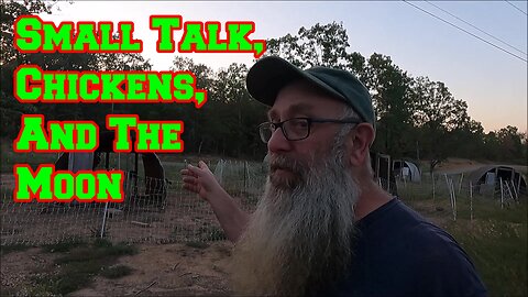 Small Talk, Eggs, Relaxing Music with Chicken TV And The Moon | Arkansas homesteading cats