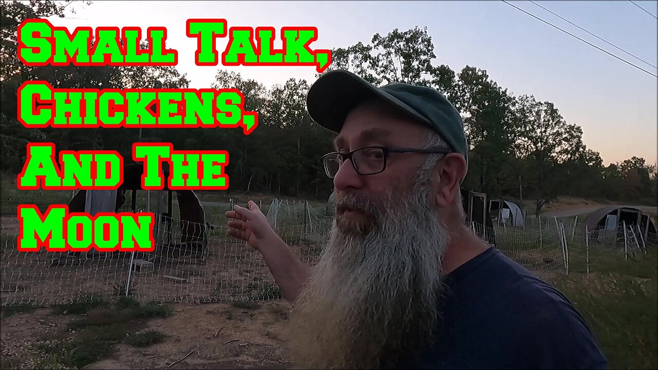 Small Talk, Eggs, Relaxing Music with Chicken TV And The Moon | Arkansas homesteading cats