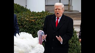 Trump Tears Into Dems at White House Thanksgiving Event, Calls Pritzker a ‘Fat Slob’
