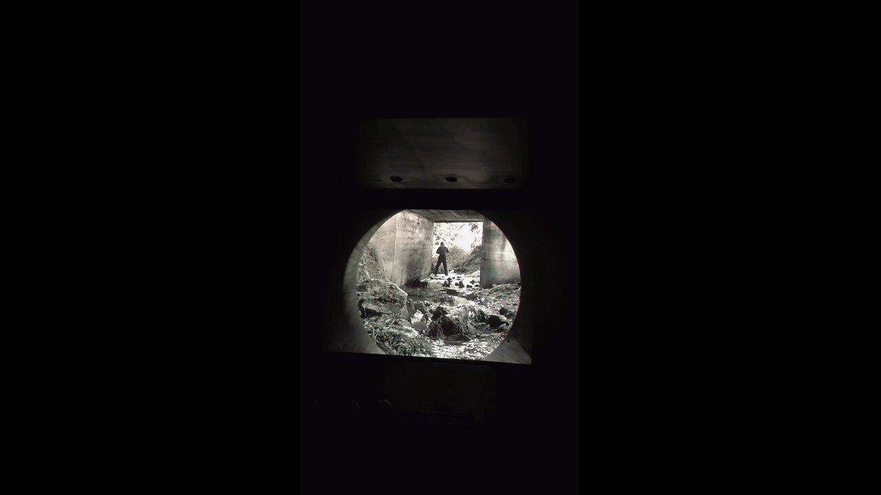 GUESS WHICH MOVIE IT IS?