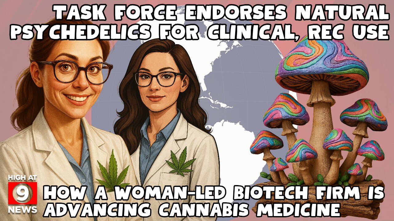 Task force endorses move toward natural psychedelics for clinical, recreational use