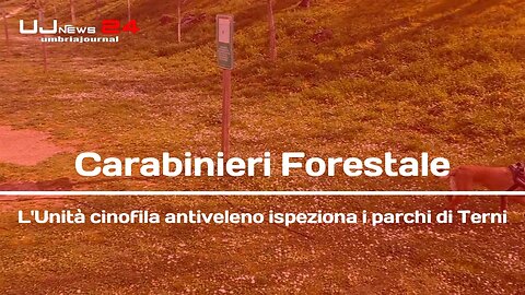 Carabinieri Forestale L'Unità cinofila antiveleno ispeziona i parchi di Terni