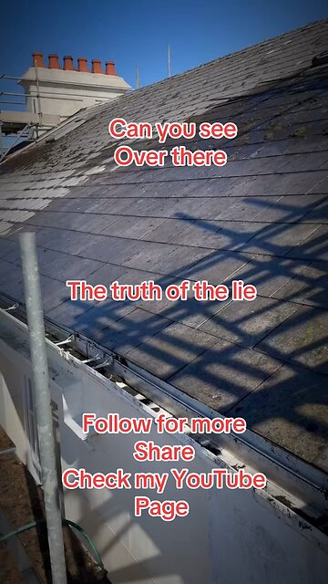 Can you spot over there!