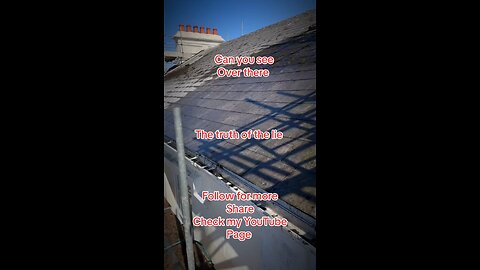 Can you spot over there!