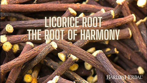 The Health Benefits of Licorice root