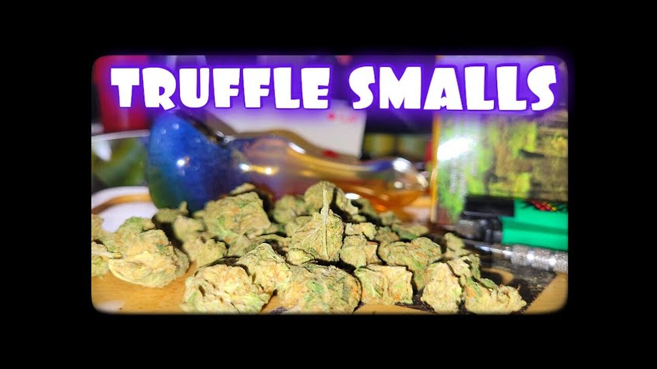 TRUFFLE 🍰 SMALLS 🍄✨ | JK DISTRO’s NEWEST GEM? 🛒🔥🎥