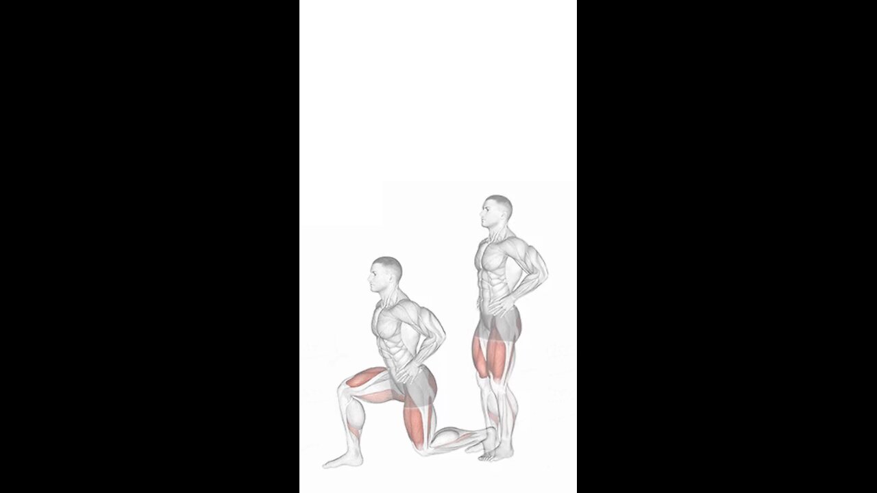 Bodyweight Lunge Exercise