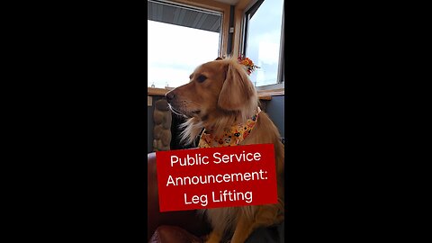 A leg lifting Public Service Announcement!
