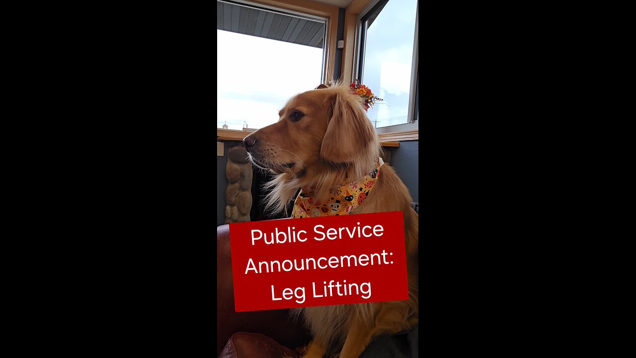 A leg lifting Public Service Announcement!