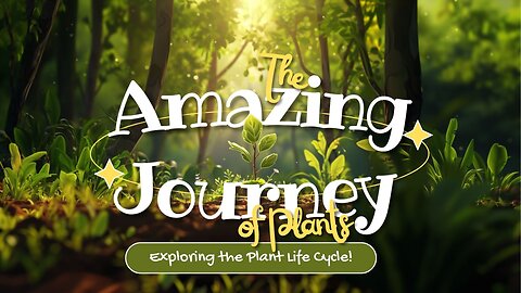 🌱 The Amazing Journey of Plants: Exploring the Plant Life Cycle! 🌿Kids Story