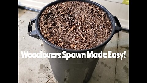 How To Make Spawn For Woodloving Mushrooms That Works Perfect For Growing!