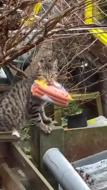 Heading home after a successful hunt 😊