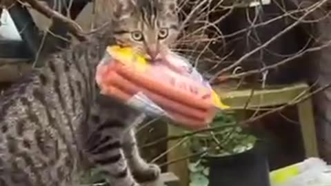 Heading home after a successful hunt 😊