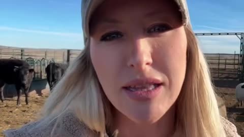 Tyson Didn’t Close A Plant Because Of Market Conditions