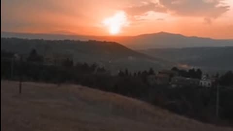 Daily Horoscope | Leo 🌟