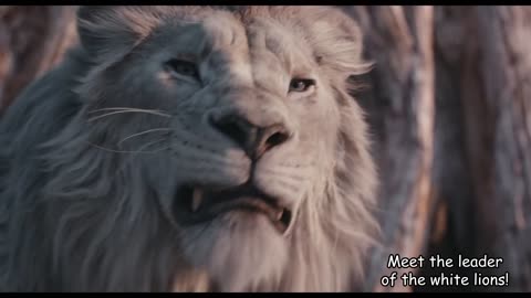 Mufasa The Lion King _ Mufasa vs Taka Race Scene _ Mufasa Kills Kiros' Son
