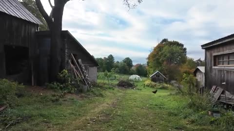 Suzanne Lupien @ Harken Farm - Autumn Harvest