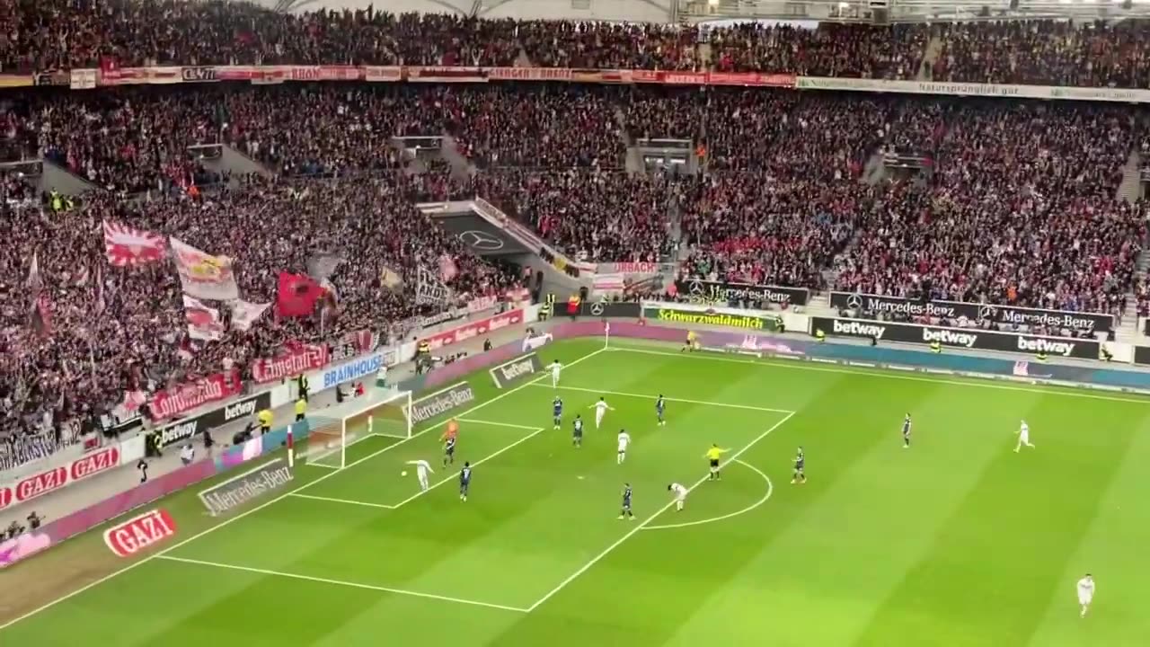 VfB Stuttgart vs FC Koln 3-0 (goal Tanguy Coulibaly)