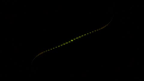 2. Ruminating Strings