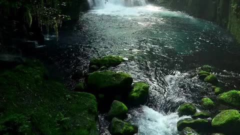 momento de adoraçao.mp4