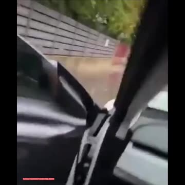 La fine delle auto elettriche.