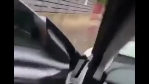 La fine delle auto elettriche.