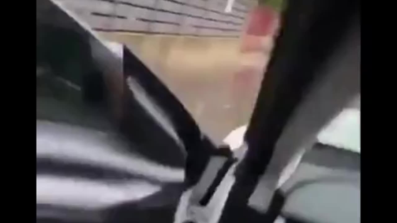 La fine delle auto elettriche.