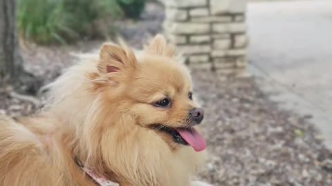 Mondays gonna be a great Day! -cute sure to brighten your day!