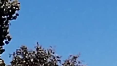 🛸😱 Rot-Silberne Kugel Manövriert Über Berlin! | TheTruthAbove