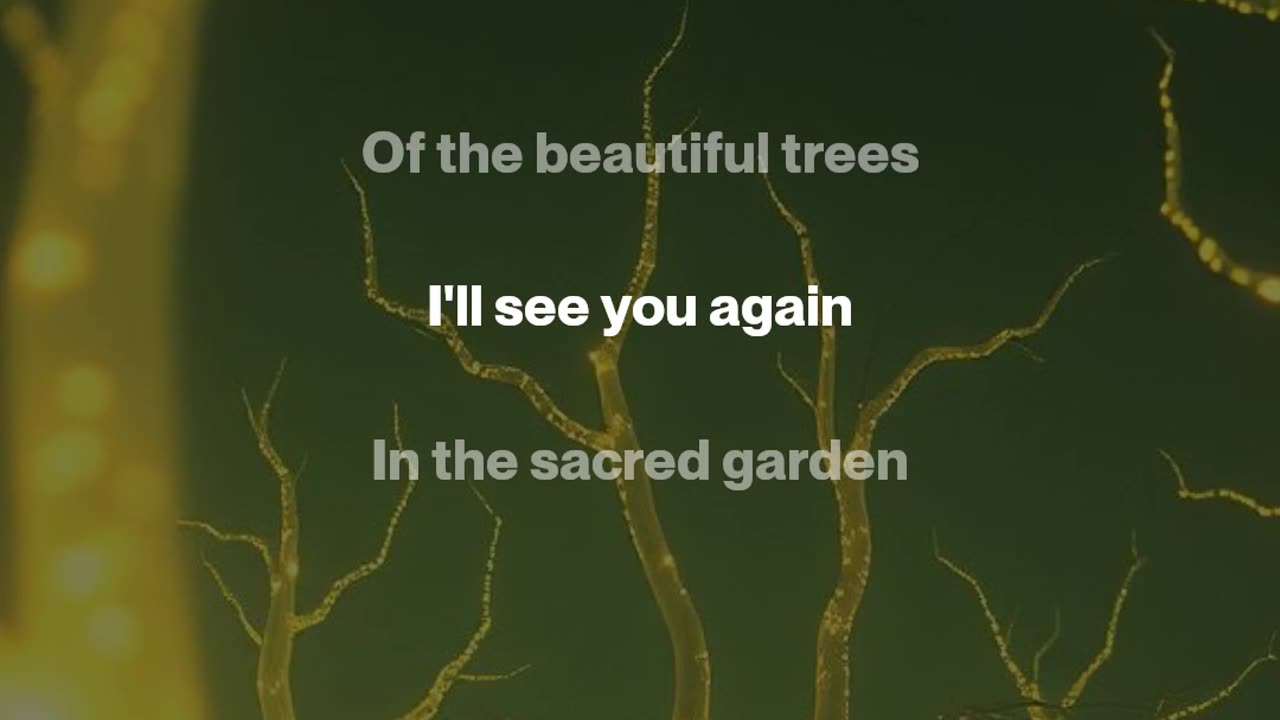 Digital Death Growl - I'll See You Again