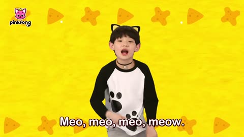 Kitty Song More and More | Baby Kitty | Ninimo | Meow Meow | Pinkfong Baby Shark Kids Song