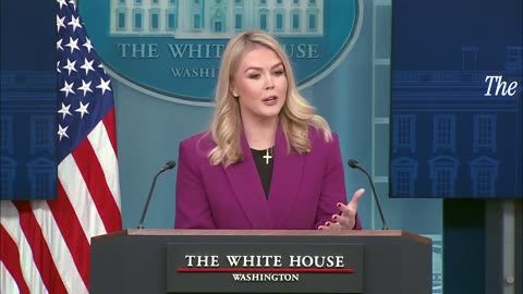 Karoline Leavitt Lays Down The Law In Fiery First Press Briefing: 'They Are Criminals'