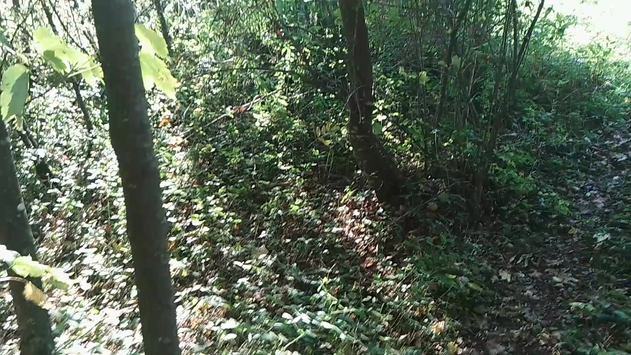 Seilweg runter