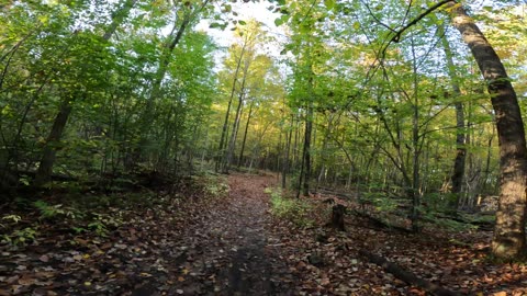 🫛 2024 Exploring Conroy Pit Trails Part 5 In Ottawa 🍁 Canada 🌻 Summer Edition 🌿🥬