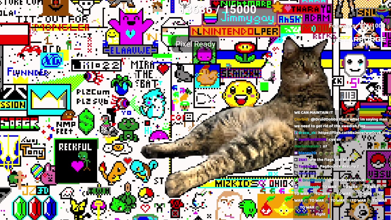 syn4ack 3-04-23 otk r-Place