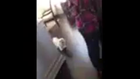 😨👻 Do You Hear the Voice? Chilling Snap Chat Footage! | TheHauntingHour