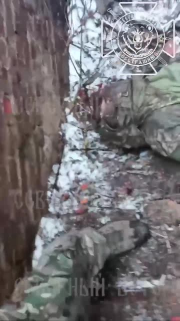 Russia Ukraine war