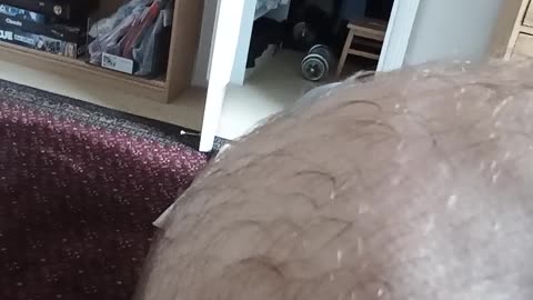 Kimberley Kellogg contradicted Jeff Wiener, her fellow feminist, not once, but TWICE