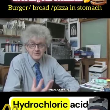 This is What a McDonald’s Cheeseburger does in Your Stomach