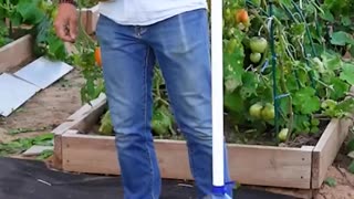 Garden hacks of the day! 🤩🌿