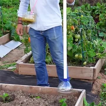 Garden hacks of the day! 🤩🌿