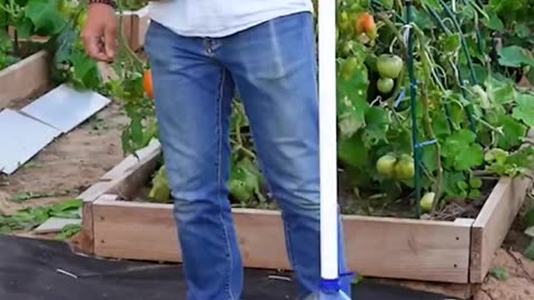 Garden hacks of the day! 🤩🌿