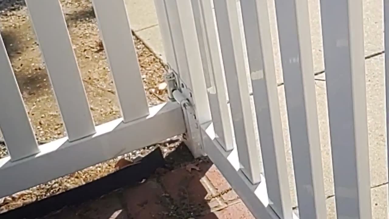 Halloween decorations Part 1: Non-power-needy decorations