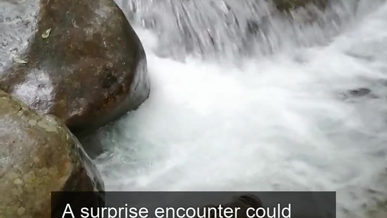 Daily Horoscope | Aquarius 🌟