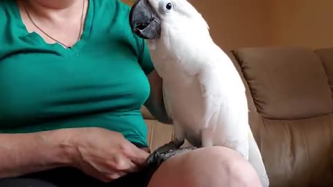 Morning Nail Care