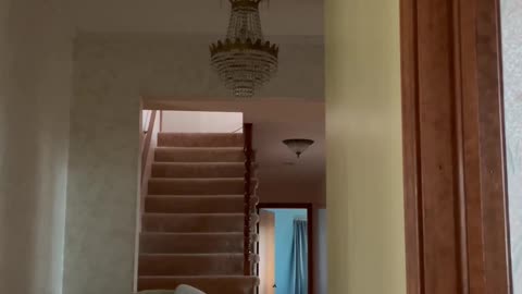 😨🗣 Whispering in the Dark | TheHauntingHour