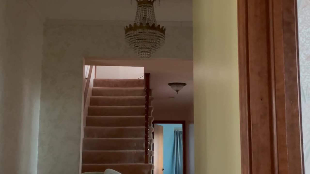 😨🗣 Whispering in the Dark | TheHauntingHour