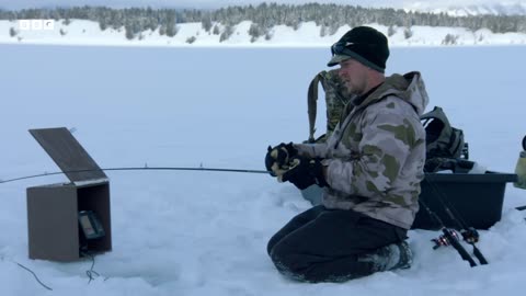 ‎Fox vs Ice: Yellowstone s Frozen Hunt for Survival | Great American Thaw | BBC Earth